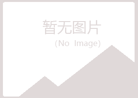 连山区操控会计有限公司